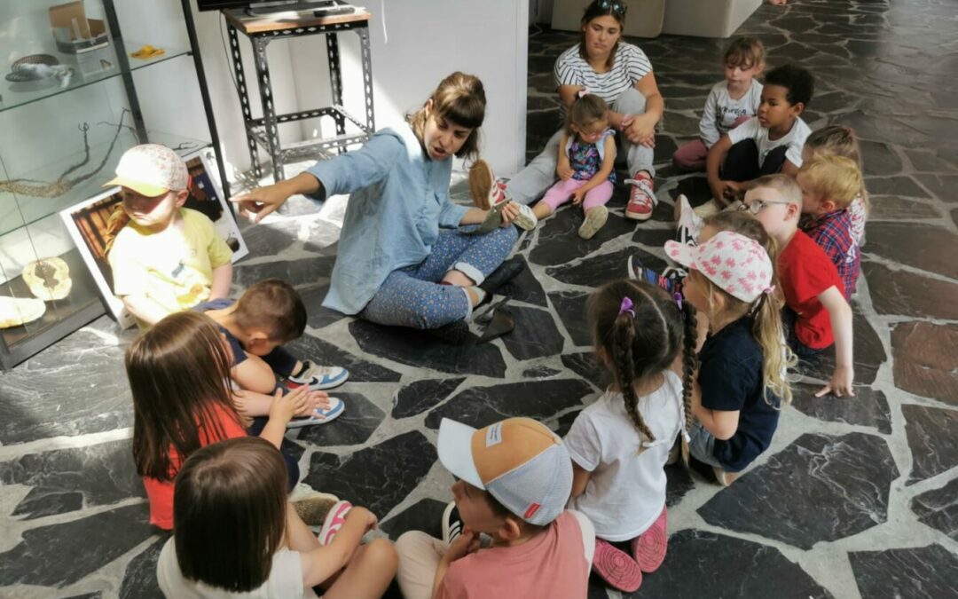 Visite Musée Manoli