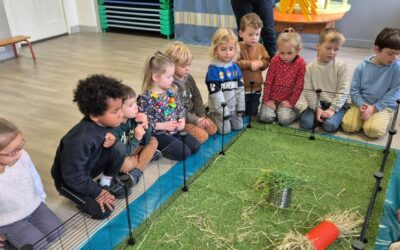 Médiation Animale en maternelle