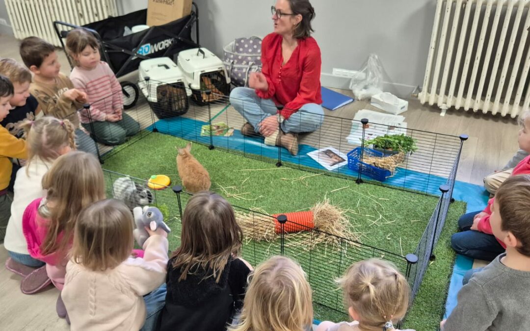 Médiation animale : le lapin