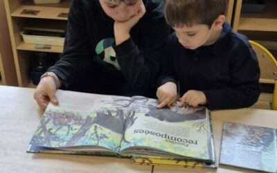 Lecture de contes Ce1-Cm2 et classes de maternelles