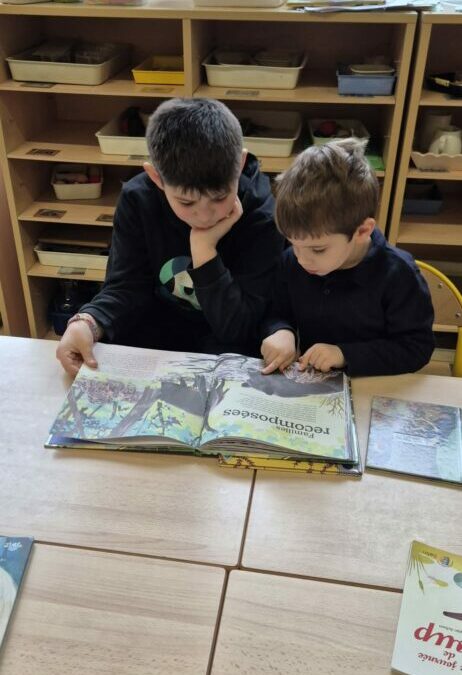 Lecture de contes Ce1-Cm2 et classes de maternelles